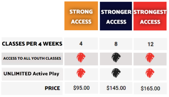 Unlimited Active Play now included in all Youth Memberships, plus our new Standard Discount Model for multiple memberships.